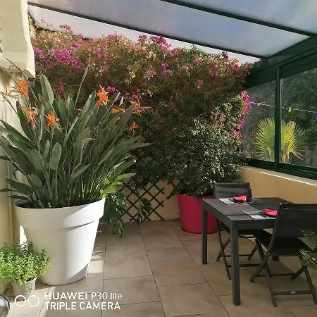 Le Patio D'olivier * Lalinde