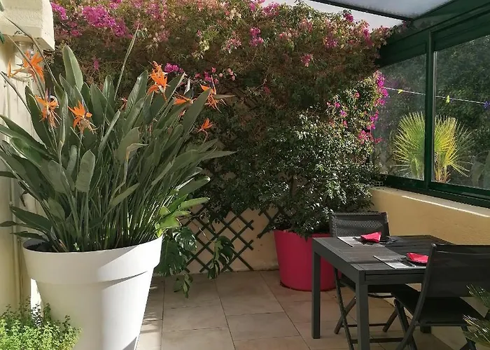 Le Patio D'olivier * Lalinde